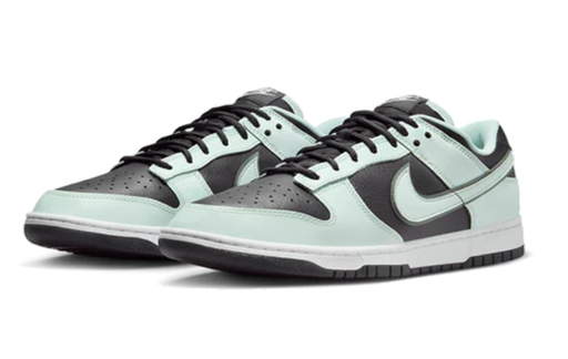 NIKE DUNK LOW RETRO PRM